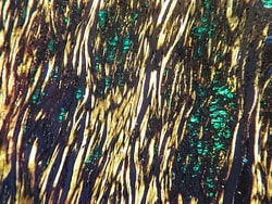 Newcomer Supply Amyloid, Puchtler Congo Red Stain Kit, 250 ml kit, Quantity: