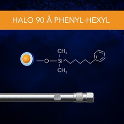 Advanced Materials Technology PHENYL HEXYL 100X2.1MM, Quantity: Each of