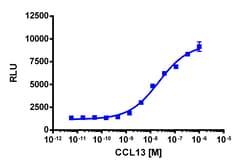 Eurofins Discoverx Recombinant Human CCL13, 5 µg. (92-1003), Quantity:
