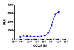 Eurofins Discoverx Recombinant Human CCL27, 5 µg. (92-1008), Quantity: