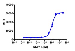 Eurofins Discoverx Recombinant Human CXCL12 / SDF-1α, 2 µg. (92-1011),