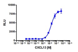 Eurofins Discoverx Recombinant Human CXCL13, 20 µg. (92-1012), Quantity: