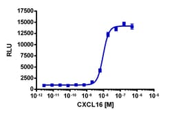 Eurofins Discoverx Recombinant Human CXCL16, 5 µg. (92-1013), Quantity: