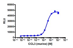 Eurofins Discoverx Recombinant Murine CCL3, 2 µg. (92-1015)