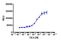 Eurofins Discoverx Oleoylethanolamide, 5 mg. (92-1040), Quantity: Each