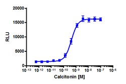 Eurofins Discoverx Calcitonin, human, 1 mg. (92-1054), Quantity: Each of