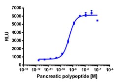 Eurofins Discoverx Pancreatic Polypeptide, Human, 0.5 mg. (92-1062), Quantity: