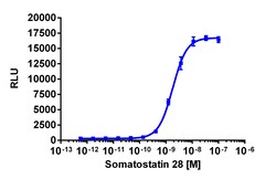 Eurofins Discoverx Somatostatin-28, 0.5 mg. (92-1068), Quantity: Each of
