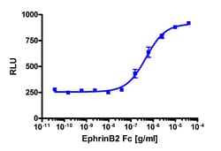 Eurofins Discoverx Recombinant Mouse EphrinB2-Fc, 200 µg. (92-1089), Quantity: