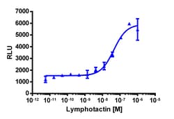 Eurofins Discoverx Recombinant Human XCL1/Lymphotactin, 25 µg. (92-1092),
