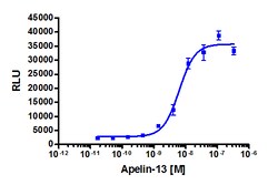 Eurofins Discoverx Apelin-13 TFA salt, 1 mg. (92-1093), Quantity: Each