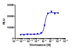 Eurofins Discoverx Wortmannin, 1 mg. (92-1095), Quantity: Each of 1