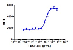 Eurofins Discoverx Recombinant Human PDGF-BB, 2 µg. (92-1110), Quantity:
