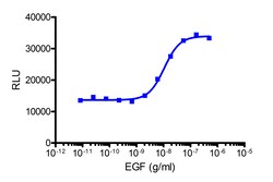 Eurofins Discoverx Recombinant human EGF, 100 µg. (92-1113), Quantity:
