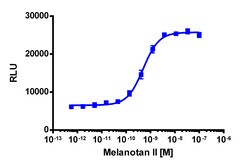 Eurofins Discoverx Melanotan II, 1 mg. (92-1122), Quantity: Each of 1