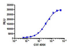 Eurofins Discoverx GW 4064, 10 mg. (92-1129), Quantity: Each of 1