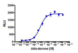 Eurofins Discoverx Aldosterone, 5 mg. (92-1131), Quantity: Each of 1