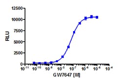 Eurofins Discoverx GW7647, 5 mg. (92-1134), Quantity: Each of 1