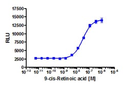Eurofins Discoverx 9-cis-Retinoic acid, 1 mg. (92-1136), Quantity: Each