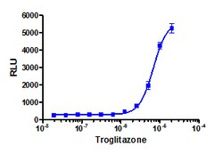 Eurofins Discoverx Troglitazone, 5 mg. (92-1138), Quantity: Each of 1