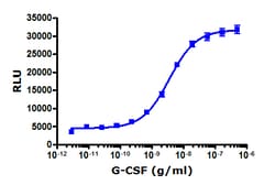 Eurofins Discoverx G-CSF (Human), 10 µg. (92-1143)
