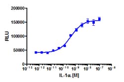Eurofins Discoverx IL-1α, 2 μg. (92-1153)