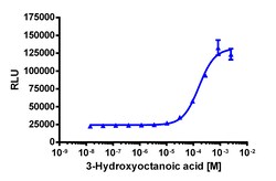 Eurofins Discoverx 3-Hydroxyoctanoic acid, 5 mg. (92-1189), Quantity: Each