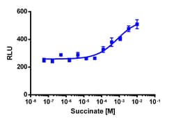 Eurofins Discoverx Succinic acid disodium salt, 10 mg. (92-1193)