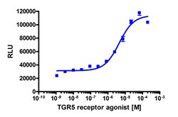 Eurofins Discoverx TGR5 Receptor Agonist, 5 mg. (92-1196), Quantity: Each