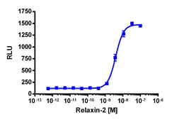 Eurofins Discoverx Recombinant Human Relaxin-2, 5 µg. (92-1203), Quantity: