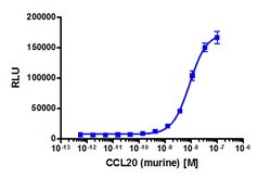 Eurofins Discoverx Recombinant Murine MIP-3α (CCL20), 5 µg. (92-1204)