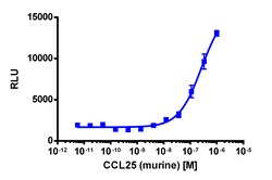 Eurofins Discoverx Recombinant Mouse CCL25/TECK, 25 µg. (92-1207)