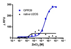 Eurofins Discoverx&nbsp;Zinc Chloride, 10 mg. (92-1213)