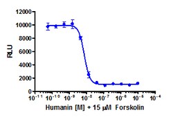 Eurofins Discoverx Humanin, HN, 1 mg. (92-1221), Quantity: Each of 1