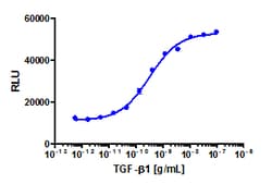 Eurofins Discoverx Recombinant Human TGF-β1 (HEK 293 derived), 2 µg. (92-1222)