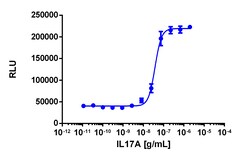 Eurofins Discoverx Recombinant Human IL-17 (IL-17A), 25 µg. (92-1229),