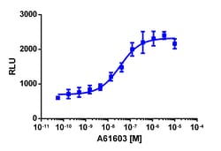 Eurofins Discoverx A-61603 hydrobromide, 10 mg. (92-1230), Quantity: Each