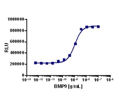 Eurofins Discoverx Recombinant Human GDF-2 (BMP-9), 10 µg. (92-1249), Quantity: