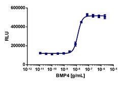 Eurofins Discoverx Recombinant Human BMP-4, 5 µg. (92-1267), Quantity: