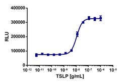 Eurofins Discoverx Recombinant Human TSLP, 10 µg. (92-1276), Quantity: