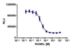 Eurofins Discoverx Recombinant Human soluble RANK ligand, 10 µg. (92-1282),