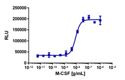 Eurofins Discoverx Recombinant Human M-CSF, 10 µg. (92-1295), Quantity: