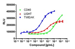 Eurofins Discoverx Recombinant Human TWEAK, 25 µg. (92-1297), Quantity: