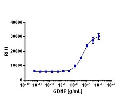 Eurofins Discoverx Recombinant Human GDNF, 2 µg. (92-1299)
