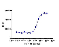 Eurofins Discoverx Recombinant Human FGF-19, 5 µg. (92-1301), Quantity: