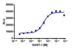Eurofins Discoverx SANT-1, 10 mg. (92-1306), Quantity: Each of 1