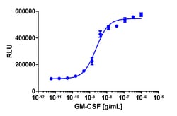 Eurofins Discoverx Recombinant Human GM-CSF, 5 µg. (92-1317), Quantity: