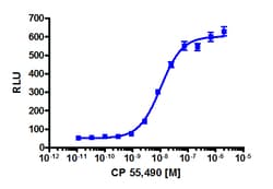 Eurofins Discoverx CP 55,940, 5 mg. (92-1343), Quantity: Each of 1