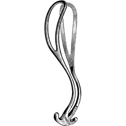 Sklar Instruments&nbsp;Forceps Sklar Microscopy Surgical   1/EA