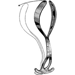 Sklar Instruments&nbsp;Forceps Sklar Microscopy Surgical   1/EA